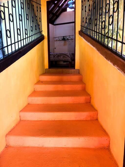 Villa Del Idaan Бокас-дель-Торо Экстерьер фото